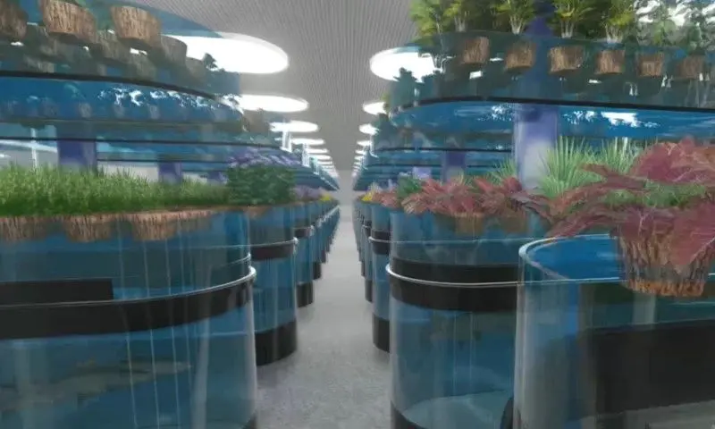 A room filled with lots of fish in large containers.
